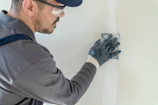  Belleville, KS Mold Removal Pros