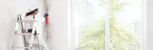 Best Mold Documentation for Insurance Claims  in Belleville, KS