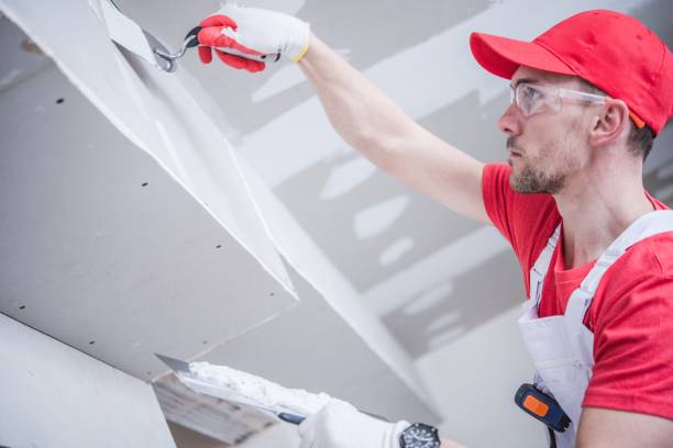Professional Mold Removal in Belleville, KS